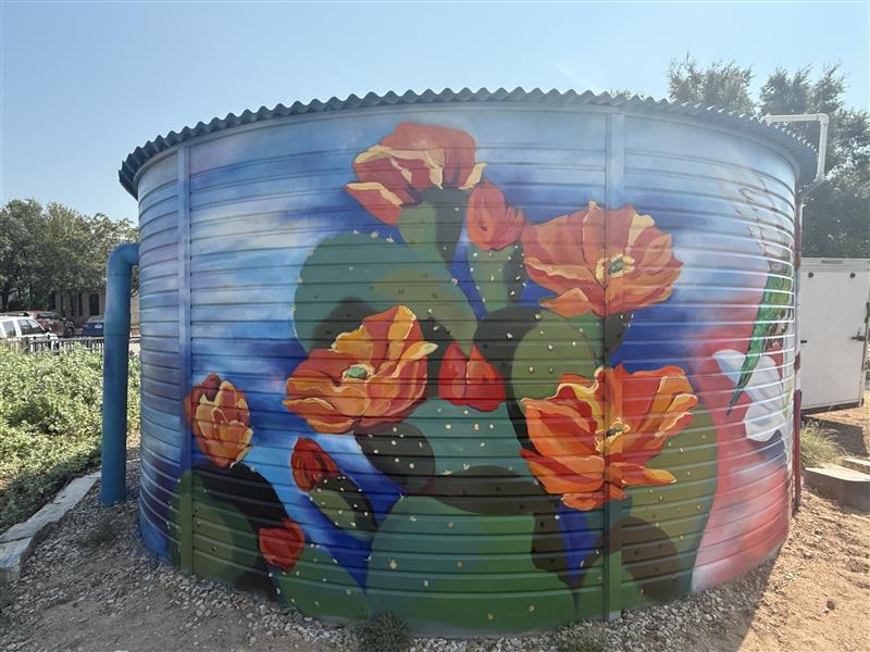 Image - 2025-09-15T110613.829