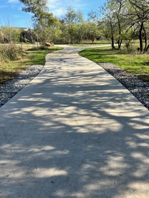 savanna trail 1